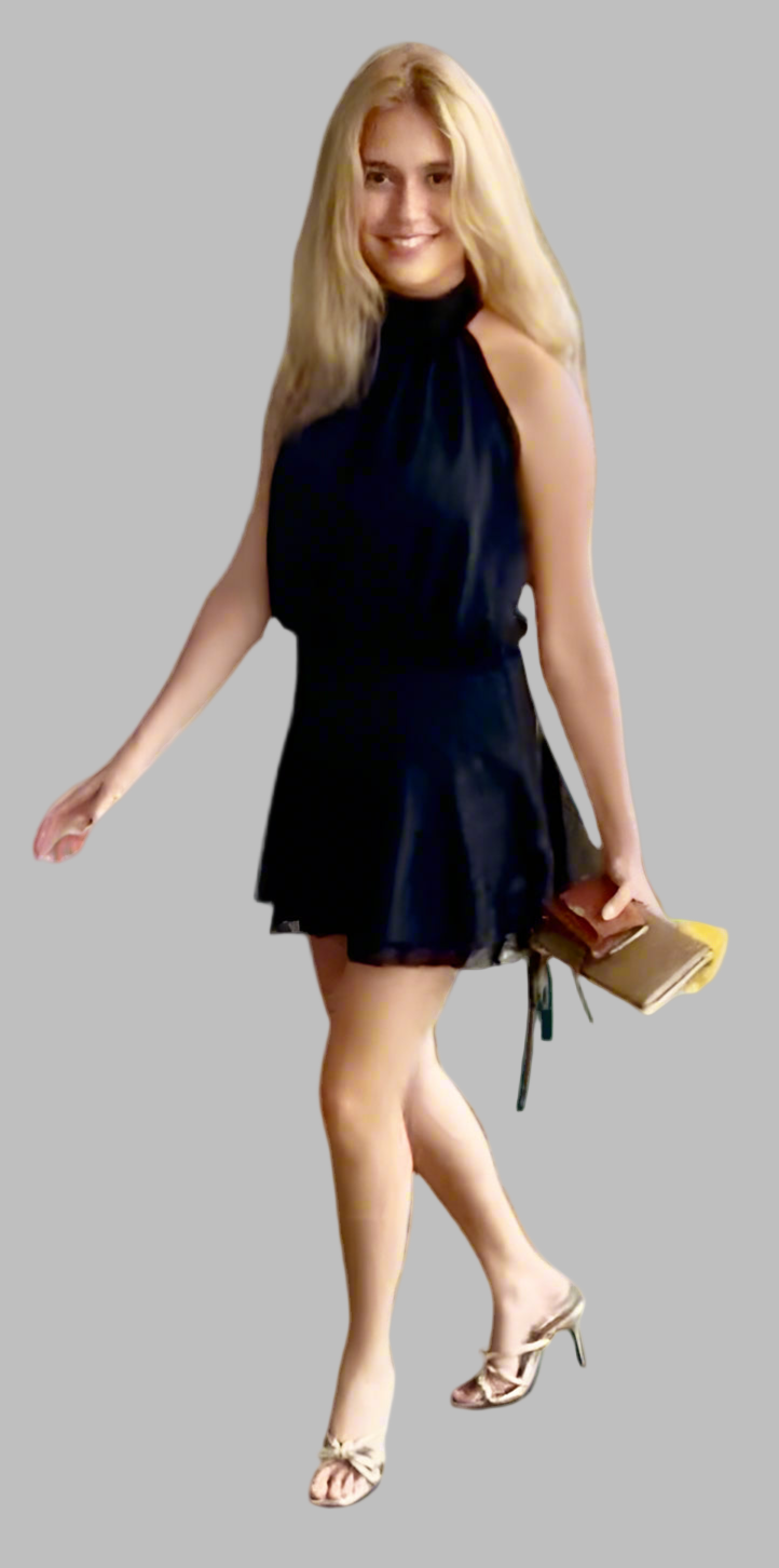 Hudson Noir Dress
