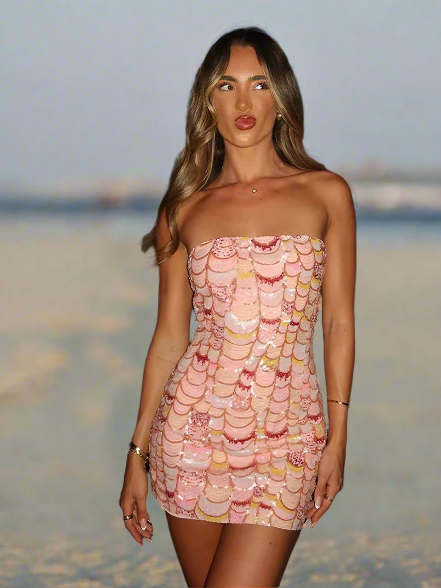 Blush Sequined Dress