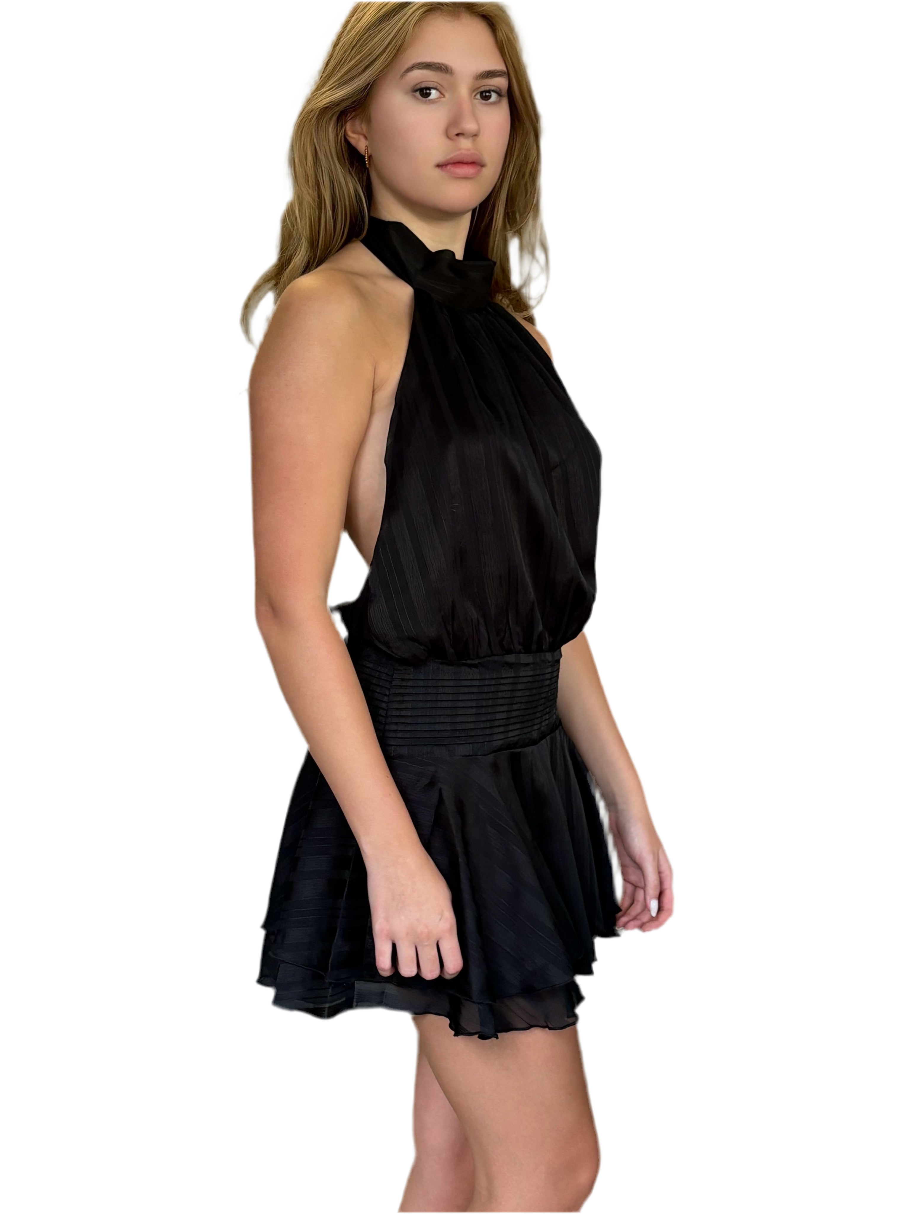 Hudson Noir Dress
