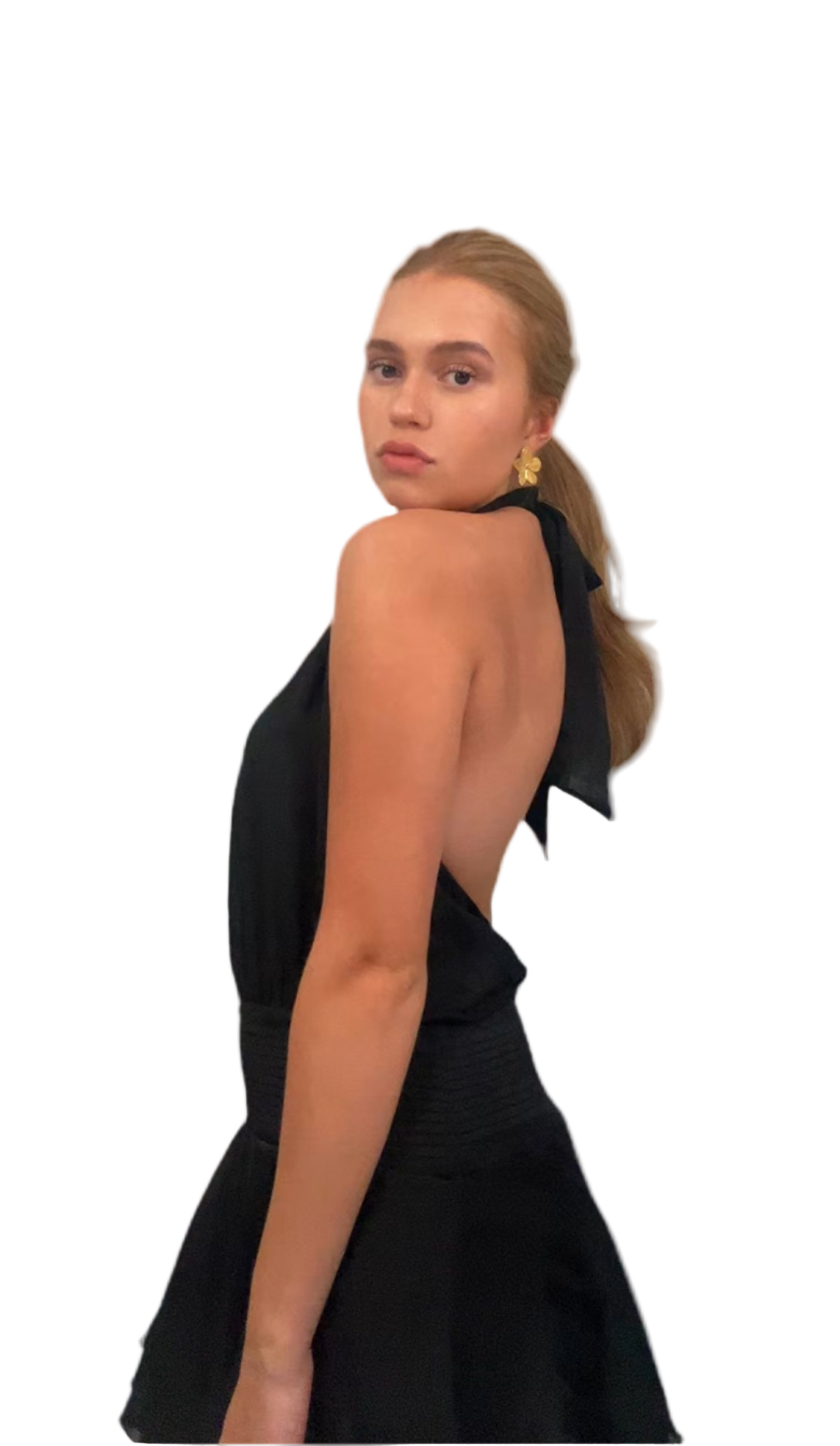Hudson Noir Dress